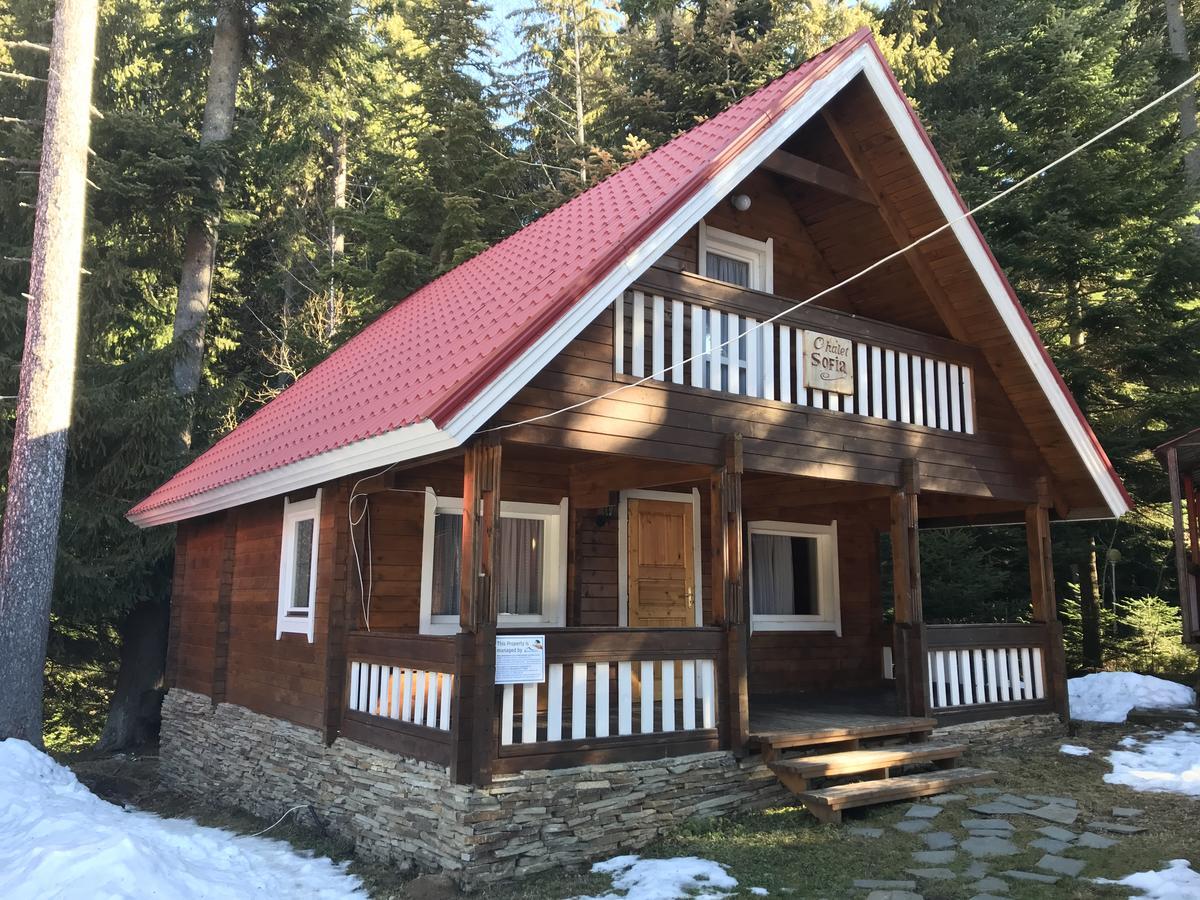 Chalet Sofia Borovets Esterno foto
